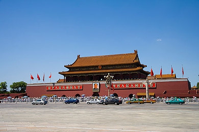 天天摸日日摸:手机依赖成瘾?揭秘摆脱困境之道-1