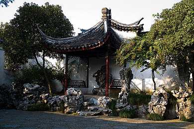 少妇被多个黑人灌满:街头悲剧,正义必胜-1