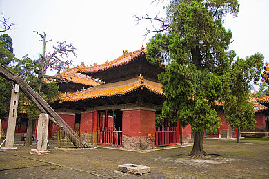 将界2雷蕾被打开双腿:《将界2》雷蕾解锁,玩法新升级!-2