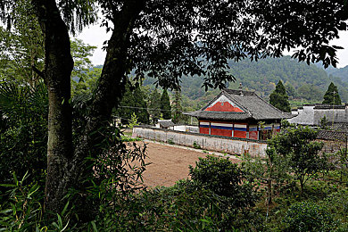 天天操天天摸天天舔:《狂野冒险家》神秘角色引热议,趣味游戏等你体验-1