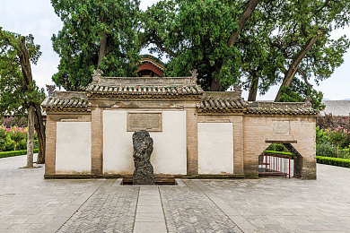国产寡妇亲子伦一区二区三区:寡妇育儿传奇,感人至深-1