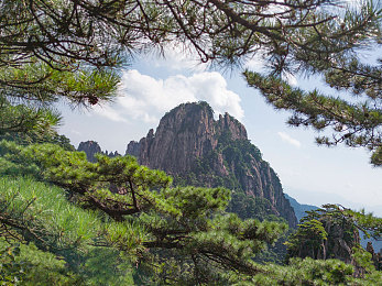免费下载黄色软件APP:奇幻世界冒险,免费游戏等你玩-2