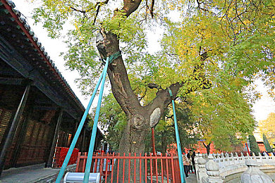 搞机time直接打开不用不收钱中国长安网 信家圈:手机服务新宠,搞机time免费畅享-3