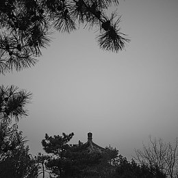 成熟少妇69XX:少妇成长记:智慧家庭,事业有成-2