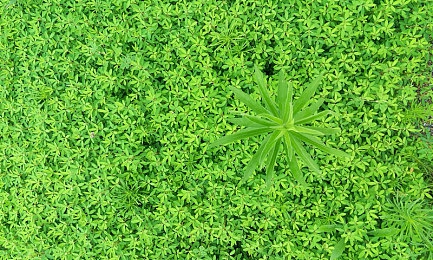 天堂中文资源库:教育宝藏库,海量资源等你来探索-5