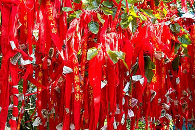 和邻居少妇偷偷好刺激:邻里互动温馨故事,社区和谐添色彩-1