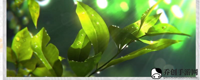 符文工厂5角色普莉希拉有什么背景