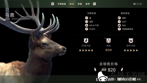 狩猎之道五星马鹿怎么捕猎